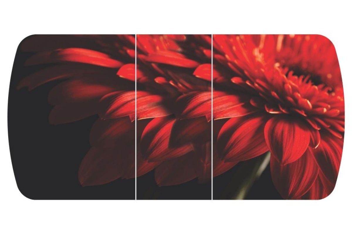 Стол Бостон-3 (Красная Гербера) 1100/1420*700, опора Брифинг | фото 2