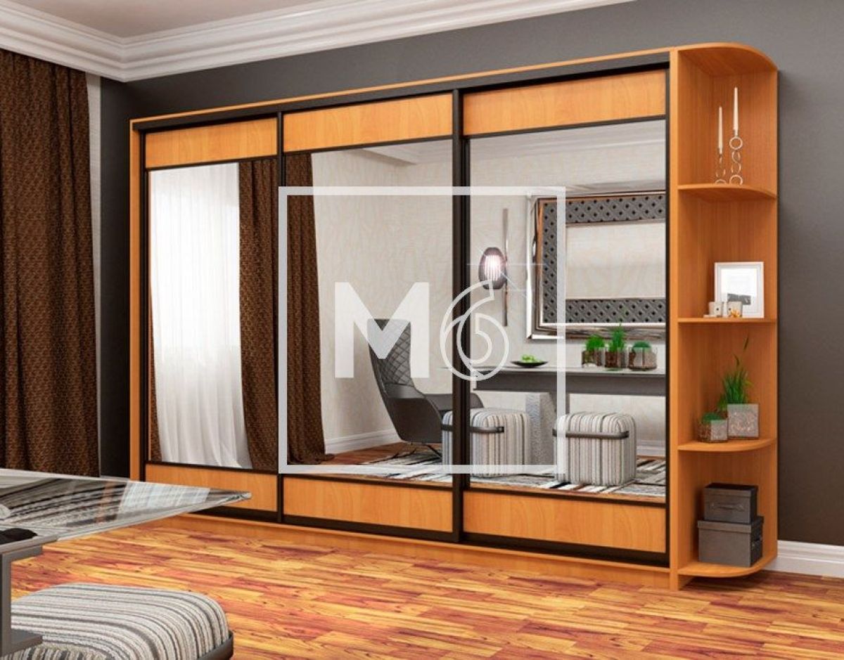 Шкаф-купе Татьяна 3000 (ЛДСП/Зеркало/ЛДСП) ЛДСП 1 кат. | фото 6