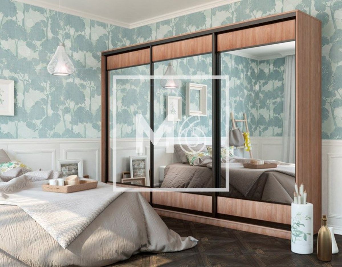 Шкаф-купе Татьяна 3000 (ЛДСП/Зеркало/ЛДСП) ЛДСП 1 кат. | фото 7